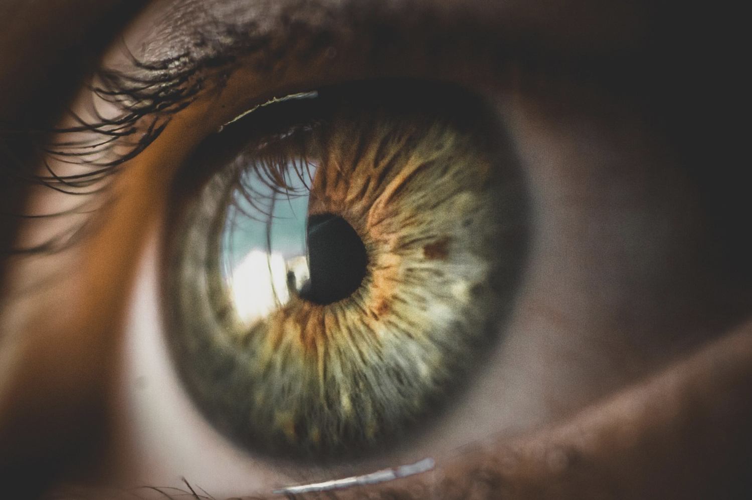 La esperanza de las personas ciegas en forma de células madre