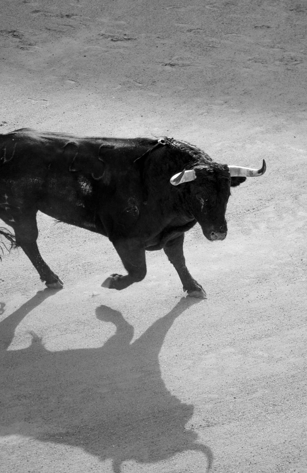 El relevo de la&nbsp;bravura